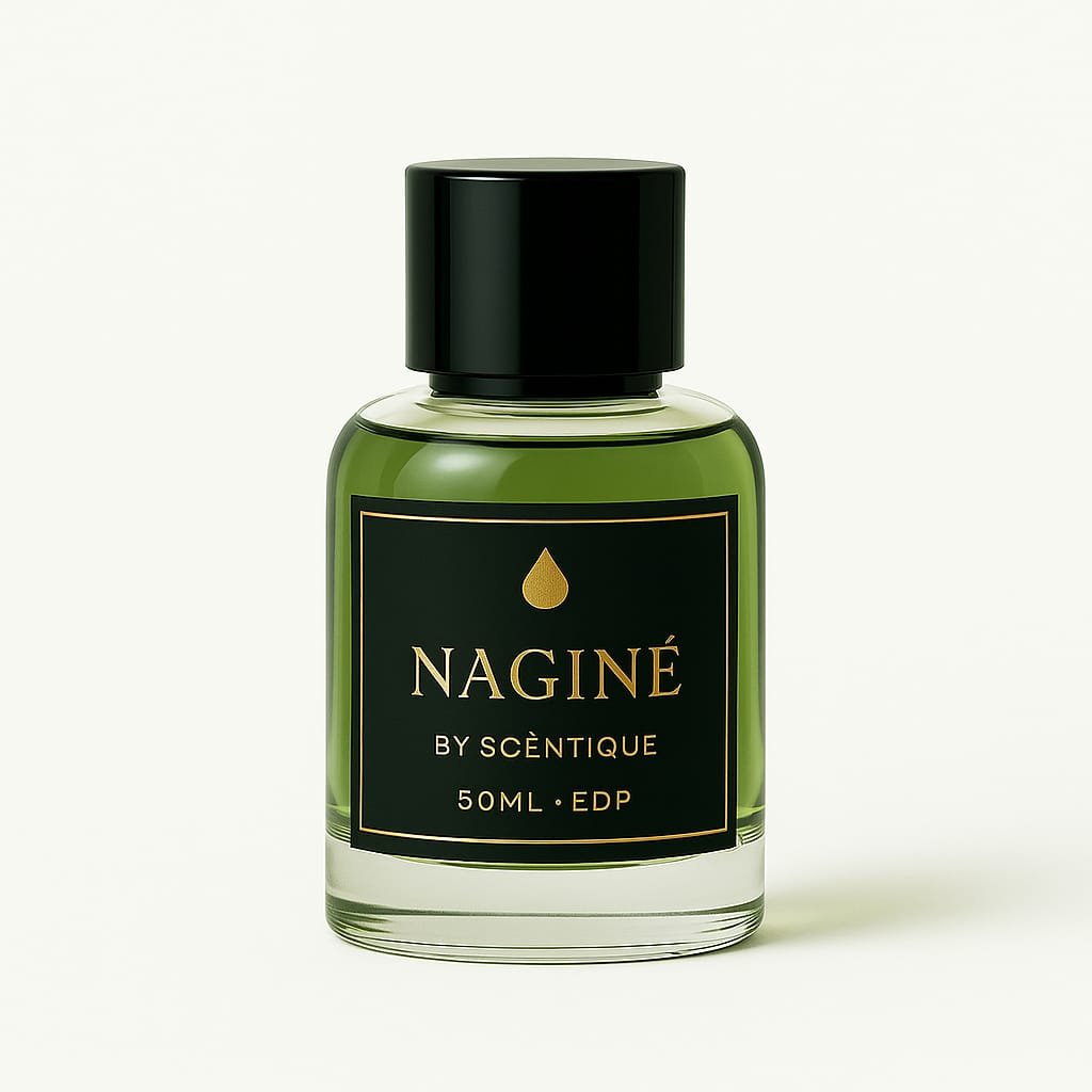 WhatsApp Image 2025-04-27 at 8.54.04 PM